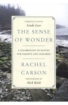 Sense of Wonder