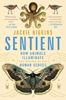 Sentient: How Animals Illuminate the Wonder of Our Human Senses, Paperback/Jackie Higgins