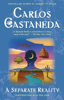 Separate Reality, Paperback/Carlos Castaneda