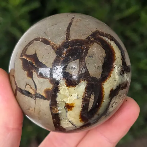 Septaria sfera | model 10
