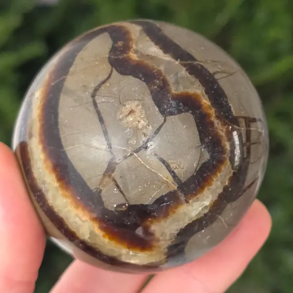 Septaria sfera | model 11