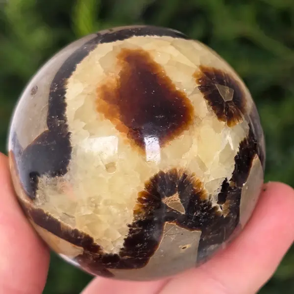Septaria sfera | model 7