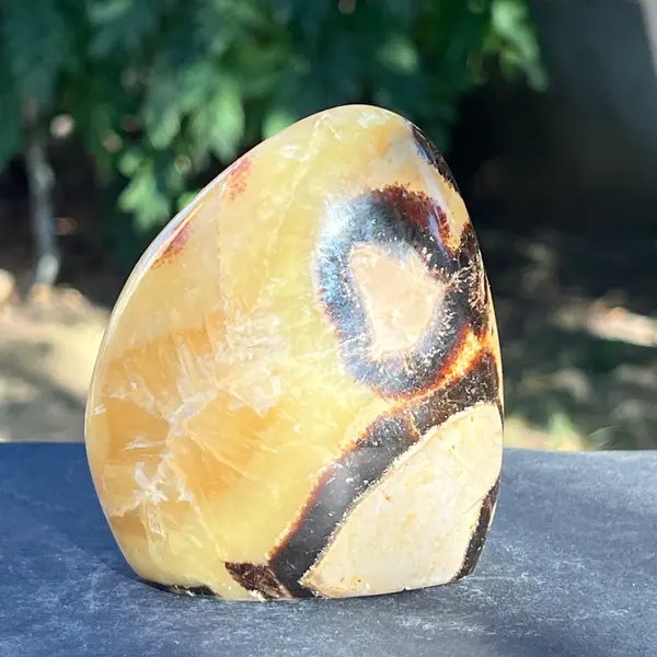 Septaria structura forma libera m4, piatra dragonului