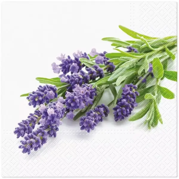 Servetele in 3 Straturi, Lavender Bunch, 33 x 33 cm, 20 Bucati, Elcadis