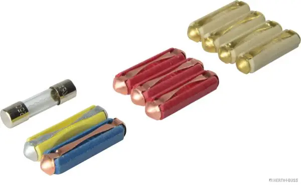 Set 10 sigurante fuzibile HERTH+BUSS ELPARTS 50296110066