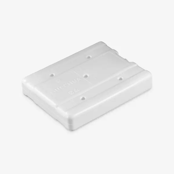 Set 2 acumulatori de gheață pentru geanta frigorifică, 740 grame