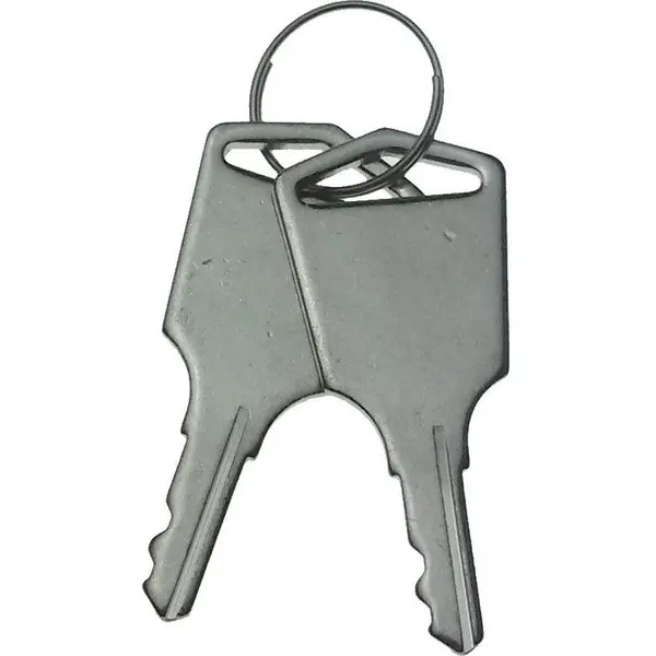 Set 2 chei pentru automatizarea Powertech PW200