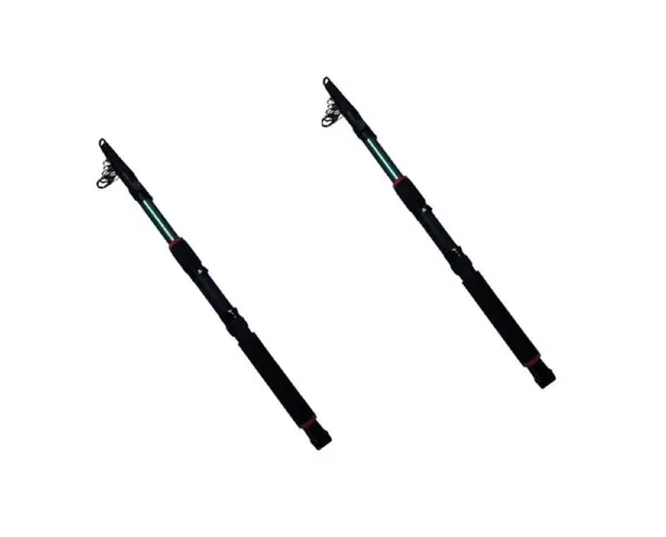 Set 2 lansete telescopice putere 120g