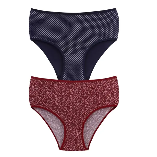 Set 2 perechi de chiloti din bumbac, pentru dama, 53600, Bordo / Albastru