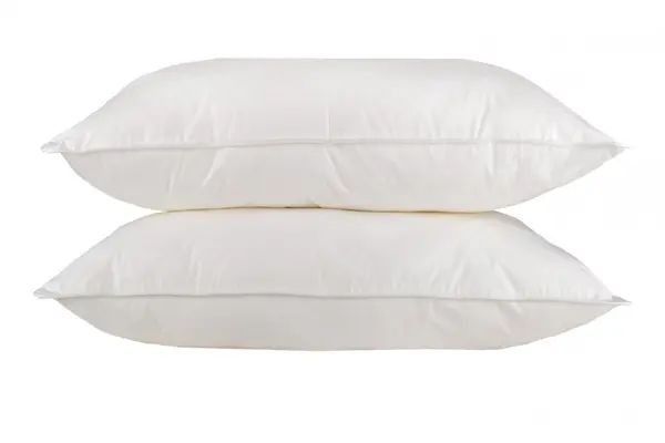 Set 2 perne Somnart Naturo din pene 50 x 70 cm