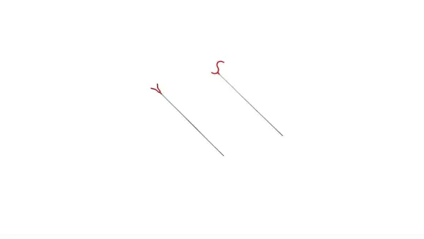 Set 2 suporti undita proKarpfishing