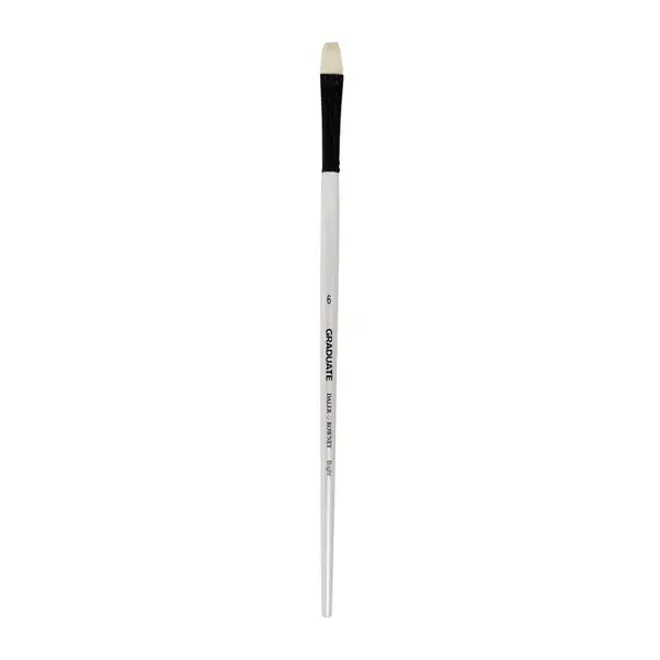 Set 2 x Pensula Par Porc, Lata, Graduate Daler Rowney - Nr. 10