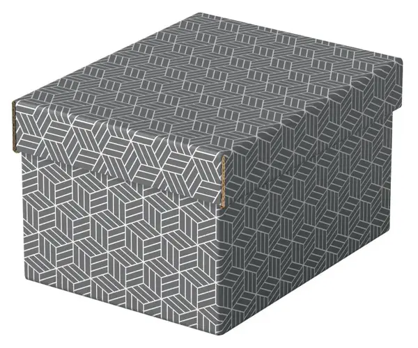Set 3 buc Cutii arhivare carton 250 x 200 x 150 mm gri Esselte Home Recycled Set 3 buc Cutii arhivare carton 250 x 200 x 150 mm gri Esselte Home Recycled