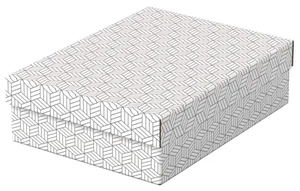 Set 3 buc Cutii arhivare carton 360 x 260 x 100 mm alb Esselte Home Recycled Set 3 buc Cutii arhivare carton 360 x 260 x 100 mm alb Esselte Home Recycled