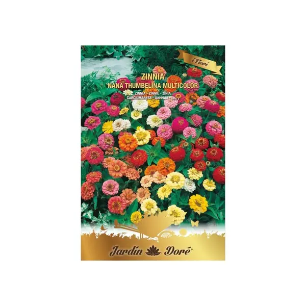 Set 3 x Seminte de Carciumarese, Zinnia Nana Thumbelina, Multicolor, 2 g