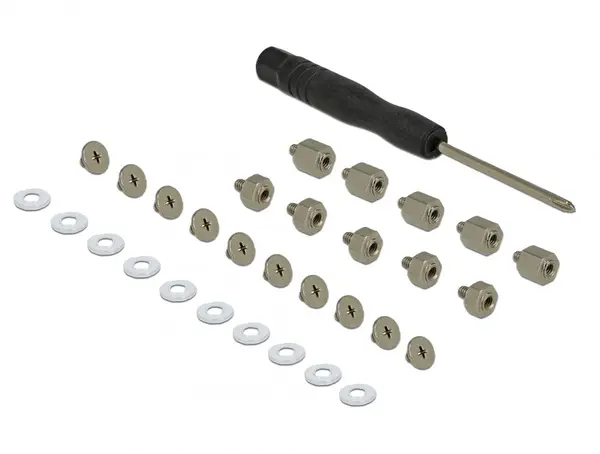 Set 31 piese (Suruburi) pentru montarea SSD-ului M.2, Delock 18288
