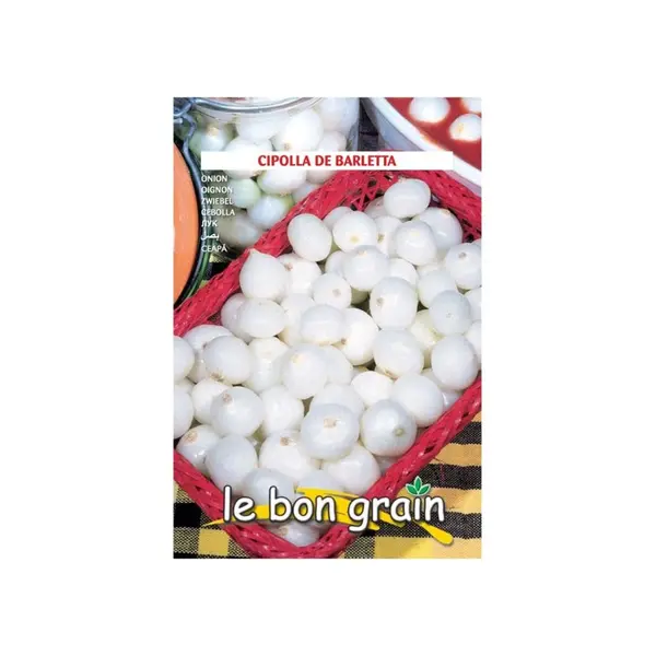 Set 4 x Seminte de Ceapa Mica si Rotunda pentru Murat, de Barletta, 3.5 g, Raci Sementi