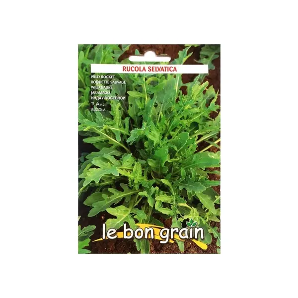 Set 4 x Seminte de Rucola Salbatica, 3 g, Raci Sementi
