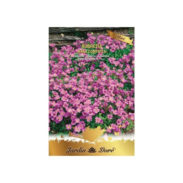 Set 4 x Seminte Flori Aubrieta, 0.4 g, Raci Sementi