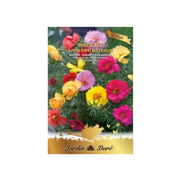 Set 4 x Seminte Flori, Floare de Piatra Batute, Amestec Multicolor, 0.5 g, Raci Sementi