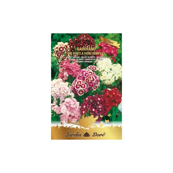 Set 4 x Seminte Garofite de Gradina, Amestec Multicolor, 2 g