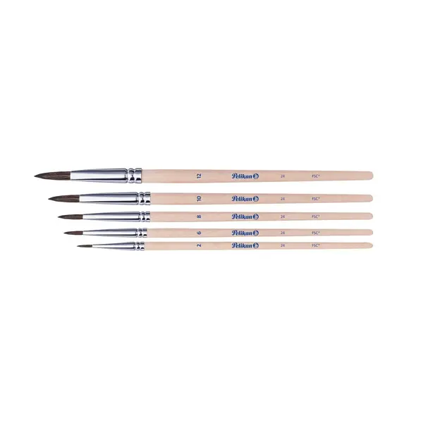 Set 5 pensule Starter seria 24, blister, Pelikan
