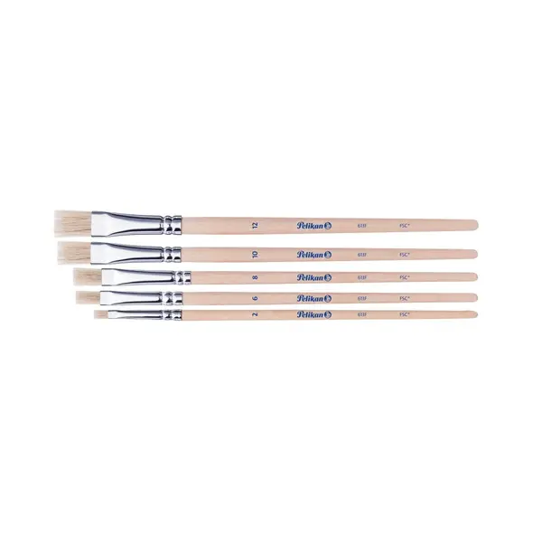 Set 5 pensule Starter seria 613F, blister, Pelikan