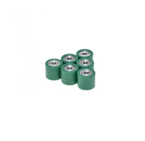 Set 6 role variator 19x17x12,2g