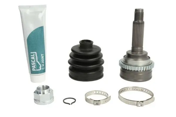 Set articulatie, planetara PASCAL G10017PC
