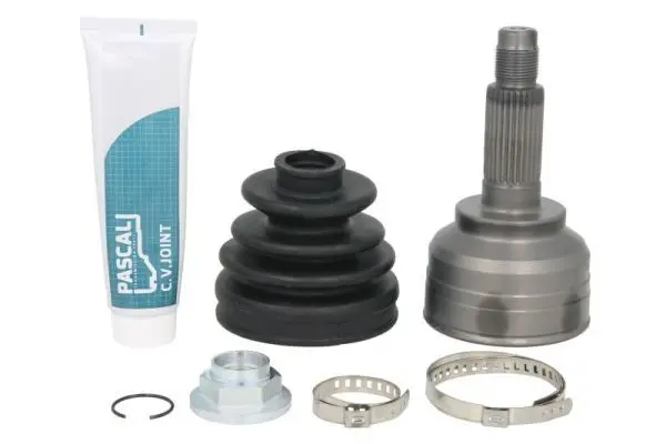 Set articulatie, planetara PASCAL G10332PC