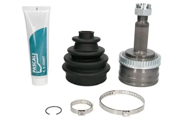 Set articulatie, planetara PASCAL G10356PC