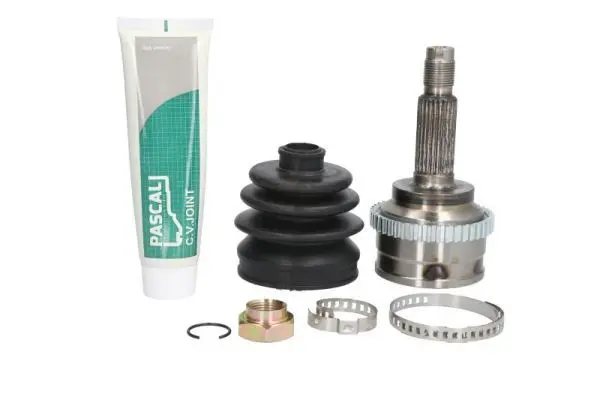 Set articulatie, planetara PASCAL G10363PC