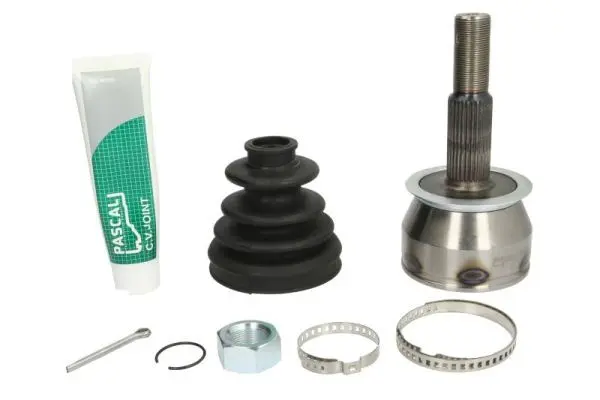 Set articulatie, planetara PASCAL G11086PC