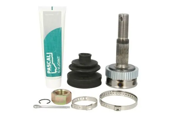 Set articulatie, planetara PASCAL G11091PC