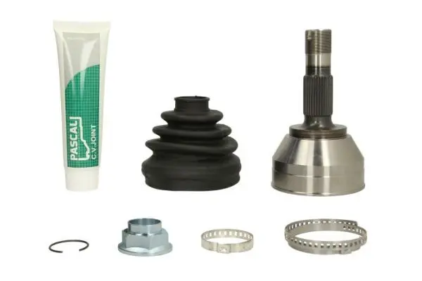 Set articulatie, planetara PASCAL G1F009PC