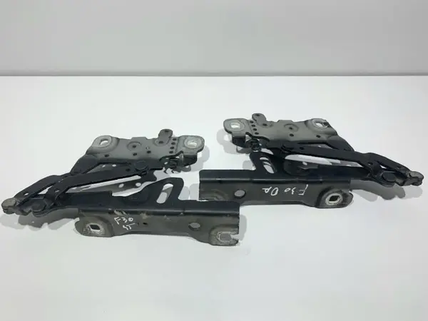 Set balamale capota fata culoare black sapphire metallic (475) 139896 10 BMW Seria 1 (2010-2015) [F21]