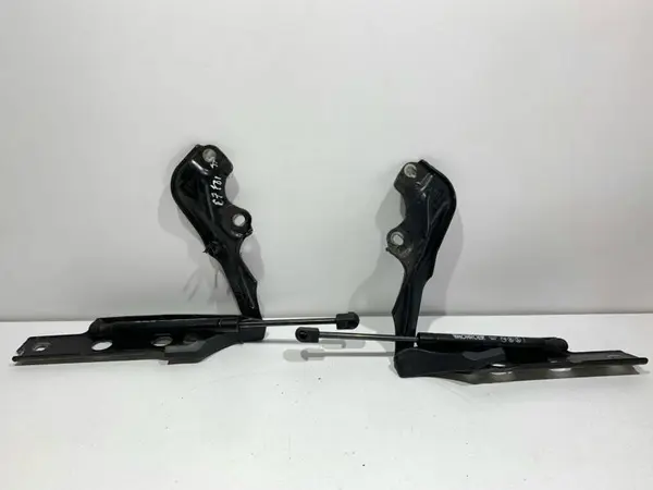 Set balamale cu telescoape capota fata (st si dr) culoare negru - ly9b 4G8823302E Audi A6 (2010-2018) [4G2, C7]