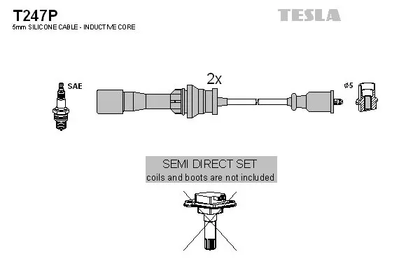 Set cablaj aprindere TESLA T247P