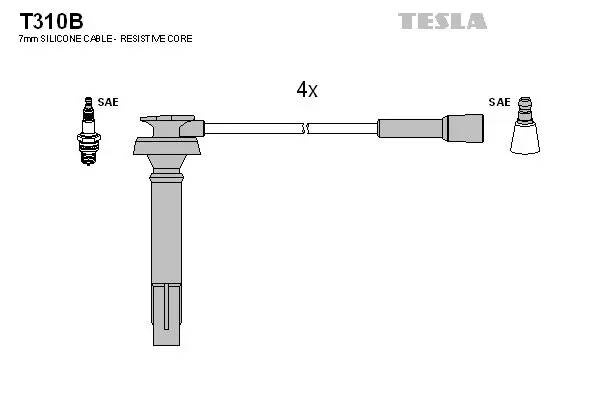 Set cablaj aprindere TESLA T310B