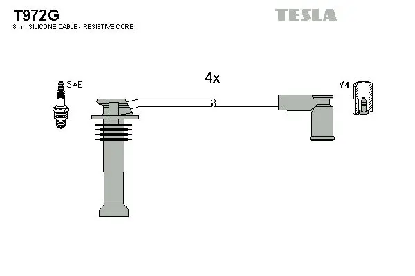 Set cablaj aprindere TESLA T972G