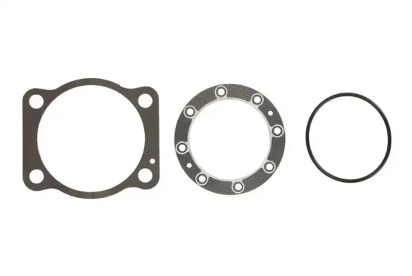 Set complet garnituri motor potrivit HANOMAG