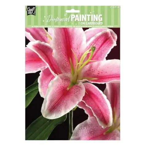 Set creativ pictura cu diamante, Diamond Painting