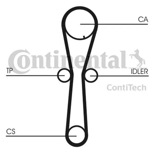 Set curea de distributie CONTINENTAL CTAM CT954K1