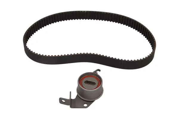 Set curea de distributie Schaeffler INA 530 0302 10