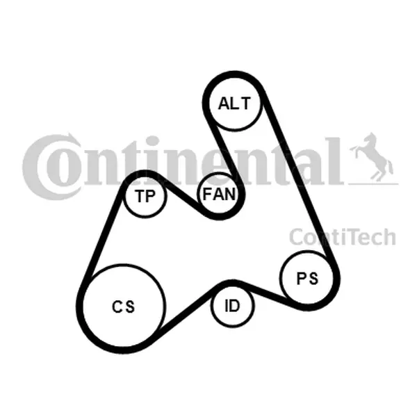 Set curea transmisie cu caneluri CONTINENTAL CTAM 5PK1592K1