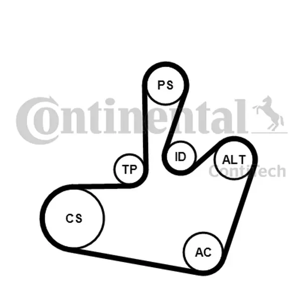Set curea transmisie cu caneluri CONTINENTAL CTAM 6PK1548K1