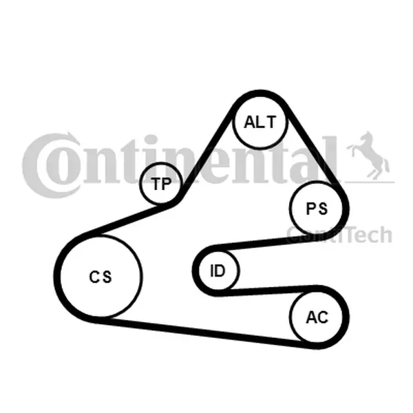 Set curea transmisie cu caneluri CONTINENTAL CTAM 6PK1613K1
