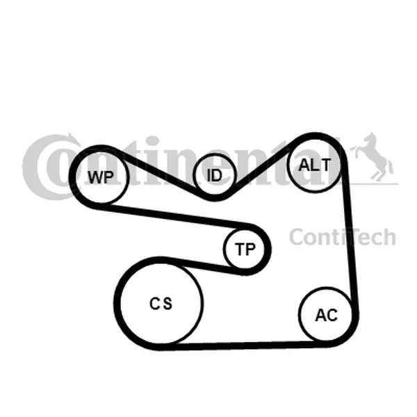 Set curea transmisie cu caneluri CONTINENTAL CTAM 6PK1733K3