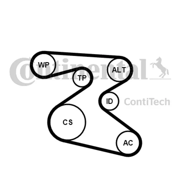 Set curea transmisie cu caneluri CONTINENTAL CTAM 6PK1873K1