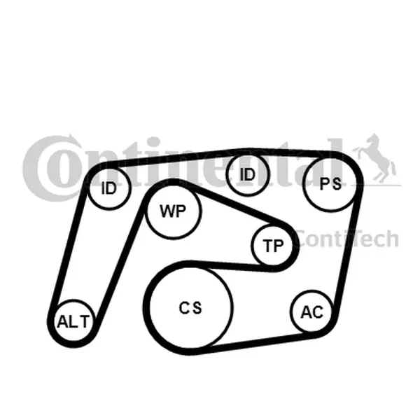 Set curea transmisie cu caneluri CONTINENTAL CTAM 6PK2260K1